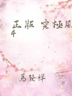 正版 究极风暴4