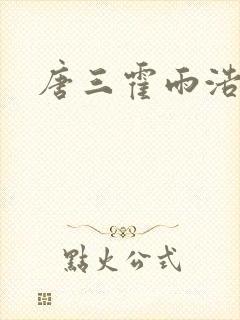 唐三霍雨浩同人