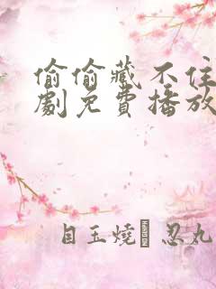 偷偷藏不住电视剧免费播放在线高清