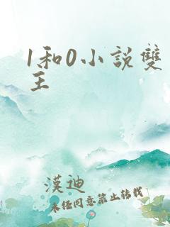 1和0小说双男主