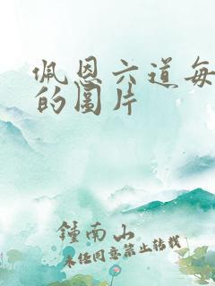 佩恩六道每个道的图片