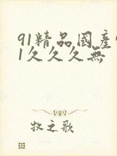 91精品国产91久久久无