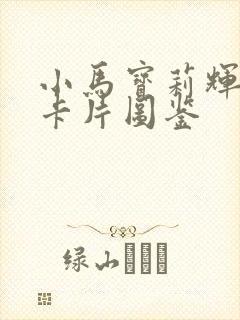 小马宝莉辉月6卡片图鉴