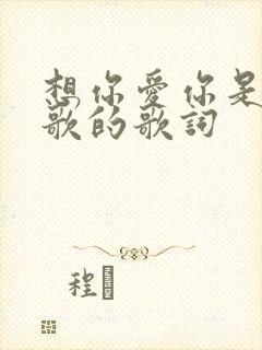 想你爱你是哪首歌的歌词