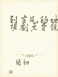 到有风的地方电视剧免费观看完整版