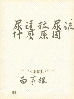 尿道拉尿流血是什么原因