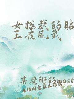 女总裁的贴身兵王夜风武