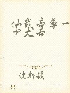 仙武帝尊一共多少大帝