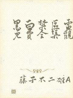 黑白禁区电视剧免费全集观看