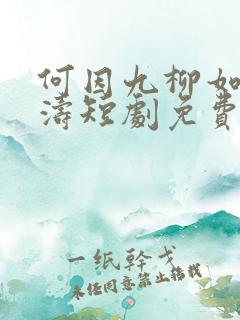 何因九柳如烟陆涛短剧免费观看