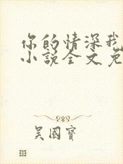 你的情深我不配小说全文免费阅读