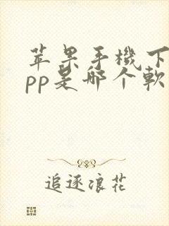 苹果手机下载app是哪个软件