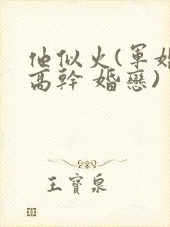 他似火(军婚 高干 婚恋)