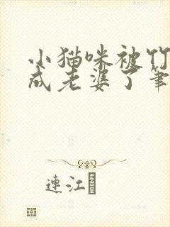 小猫咪被竹马养成老婆了笔趣阁