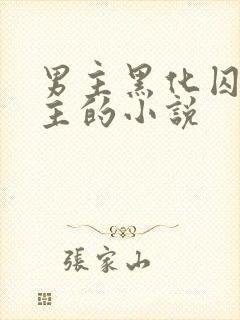 男主黑化囚禁女主的小说