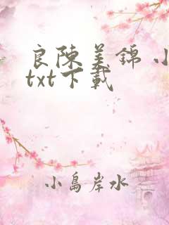 良陈美锦 小说txt下载