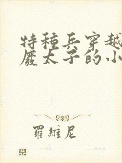 特种兵穿越大周废太子的小说