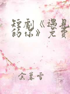 短剧《遇见正确的你》免费观看