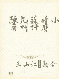 陈凡苏晴小说主角叫什么