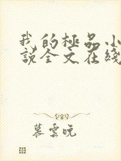 我的极品小姨小说全文在线阅读