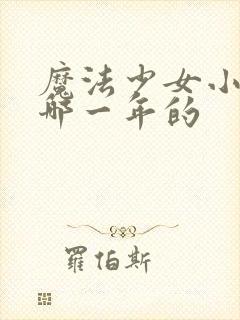 魔法少女小圆是哪一年的