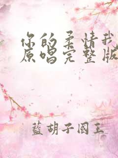 你的柔情我不懂原唱完整版