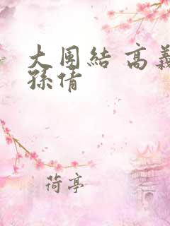 大团结 高义 孙倩