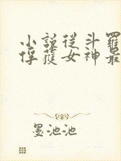 小说从斗罗开始俘获女神最新章节列表