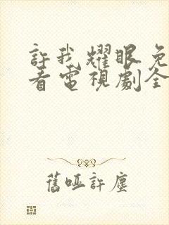 许我耀眼免费观看电视剧全集