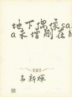 地下偶像sana未增删在线观看