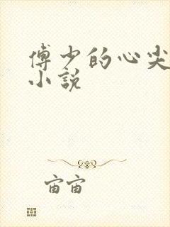 傅少的心尖宠 小说