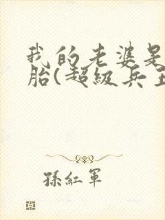 我的老婆是双胞胎(超级兵王在都市)