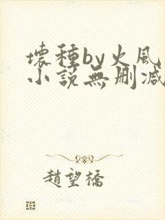 坏种by火风 小说无删减版