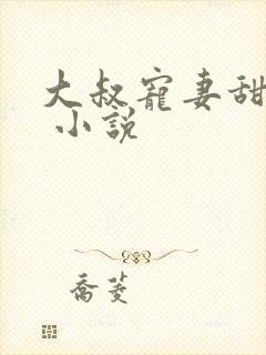 大叔宠妻甜不腻 小说