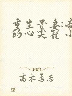 重生贵妻:帝少的心尖宠 小说