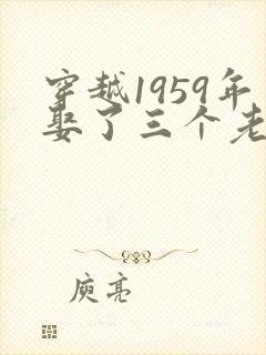 穿越1959年娶了三个老婆的小说