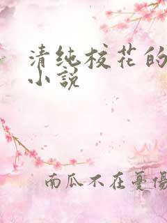 清纯校花的堕落小说