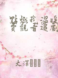 点燃我温暖你免费观看追剧网