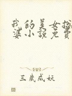 我的美女总裁老婆小说免费