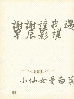 谢谢让我遇见你星辰影视