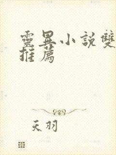 灵异小说双男主推荐