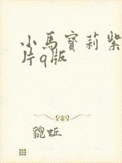 小马宝莉紫悦图片q版