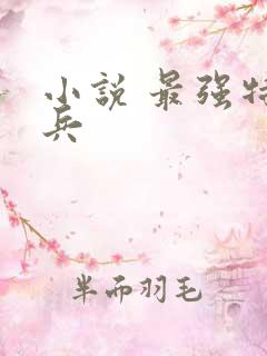 小说 最强特种兵