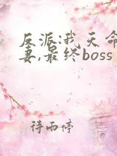 反派:我天命旺妻,最终boss