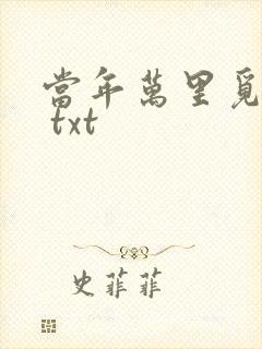 当年万里觅封侯 txt