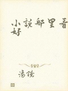 小说哪里看比较好