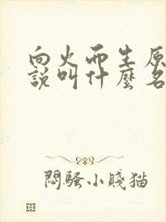 向火而生原著小说叫什么名字