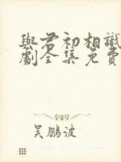 与君初相识电视剧全集免费观看