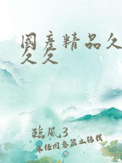 国产精品久久久久久