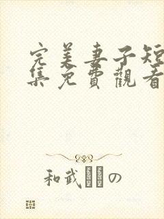 完美妻子短剧全集免费观看高清